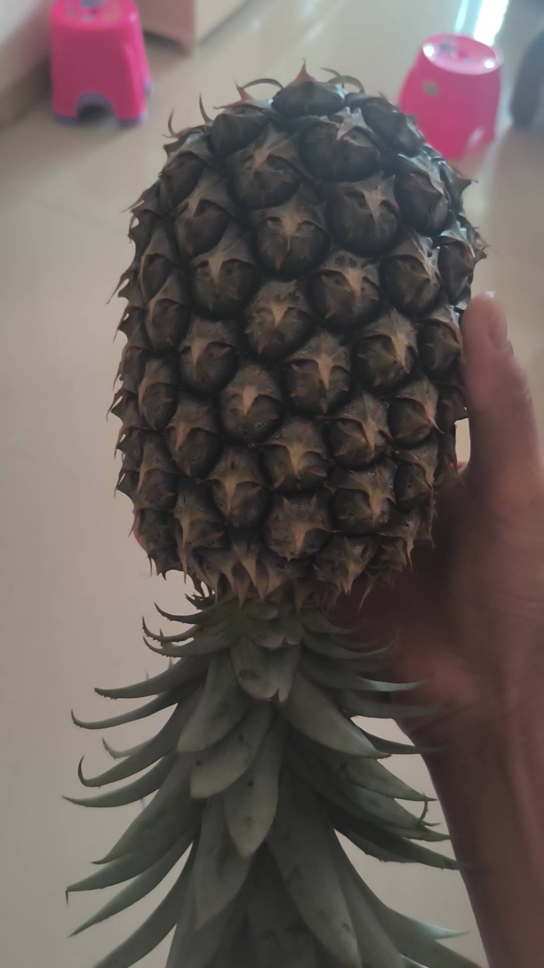 不赌为赢啊，老哥们，好好稳工

3 / 作者:是勤劳小蜜蜂呀 / 