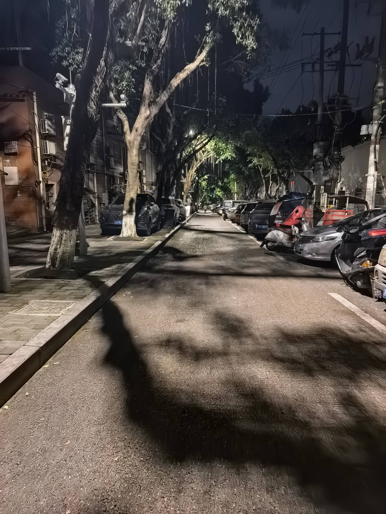 我大概是病的不轻了，想着把共享单车骑回家

50 / 作者:星海迷途 / 