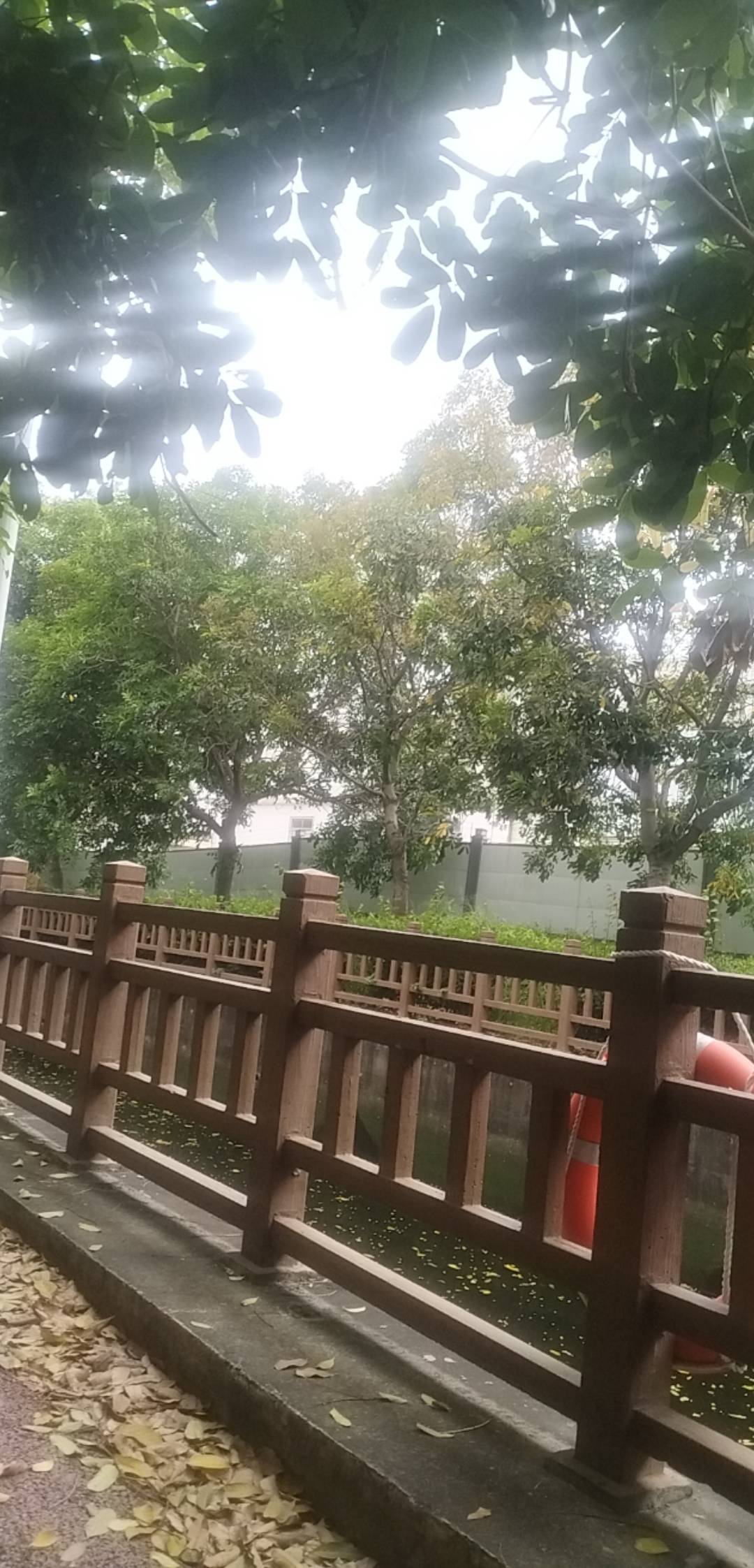 刮风要下雨啦，老哥们该回家收裤衩子啦

18 / 作者:尛•牛•蛮 / 