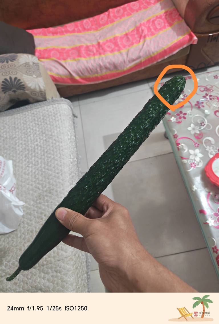 憋笑，饿了

99 / 作者:人类最强士兵 / 