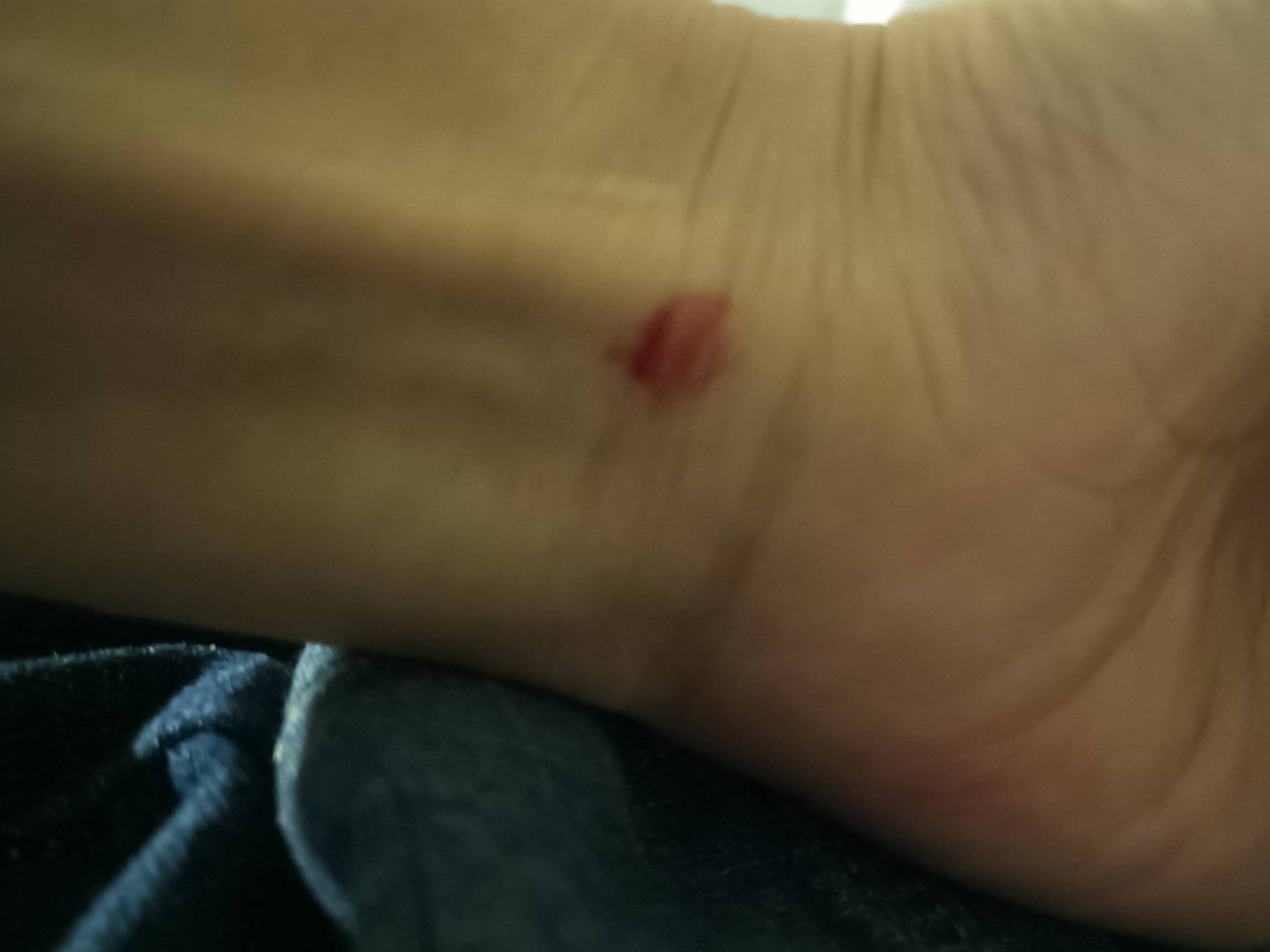 听说这边现在审核的严了，我准备新开一个，就叫卡工如何，有没有搞头

62 / 作者:蛋黄酱 / 
