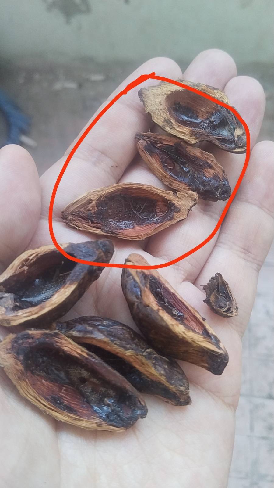 老哥们，安徽连锁便利店在美团上买的，都只剩一张皮了。剩下的颜色还有，也很奇怪，也69 / 作者:提莫大王 / 