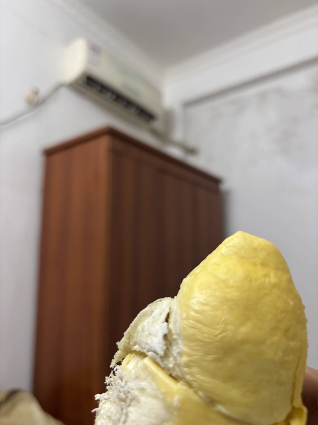 老哥们先吃

86 / 作者:六六大 / 
