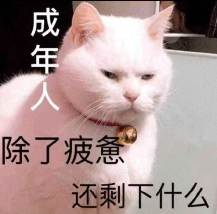 人生一波三折
生活千疮百孔

13 / 作者:李二拐 / 