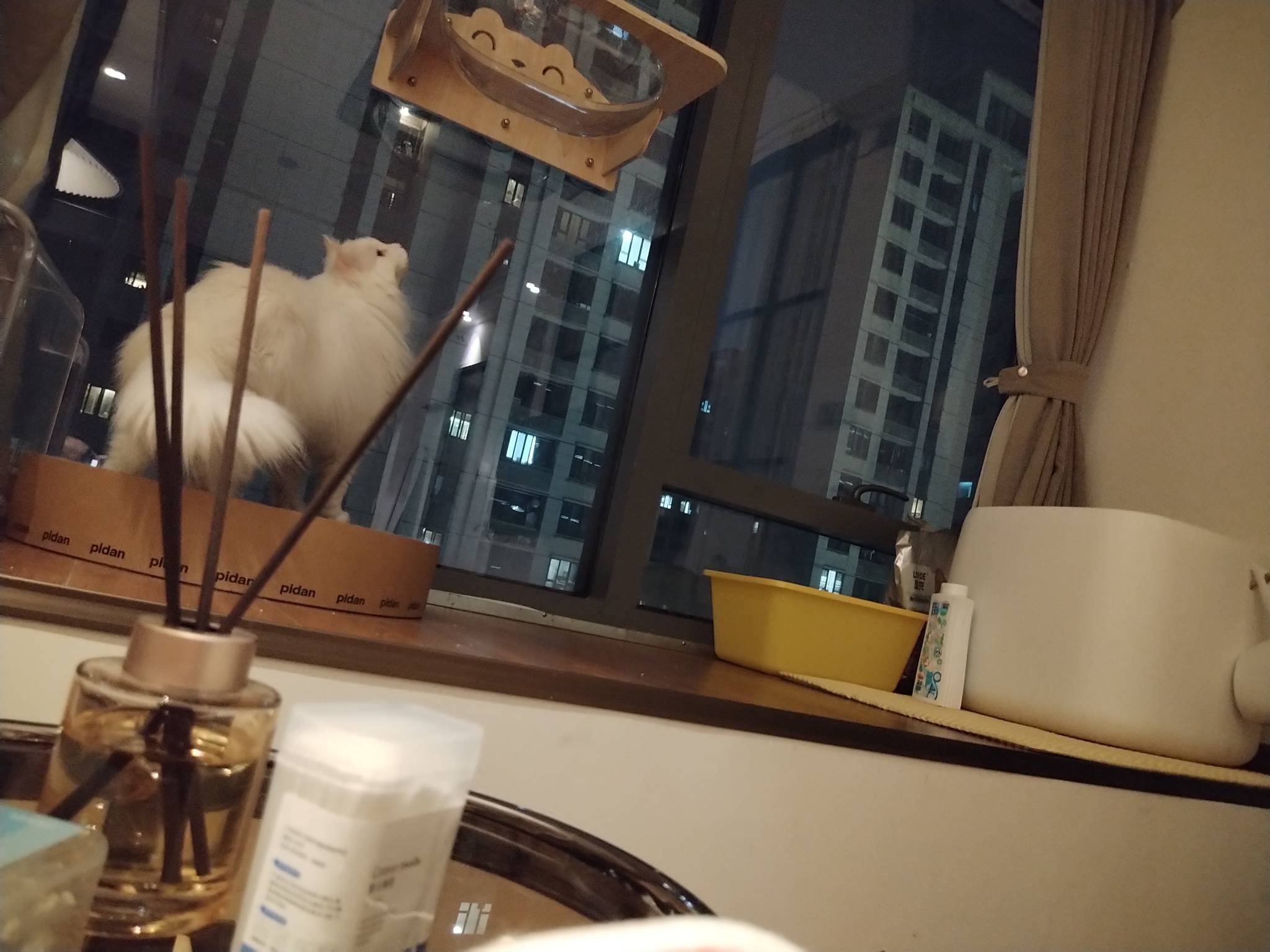 公园湿答答的，只能来厕所了

17 / 作者:jshdhdhdh / 