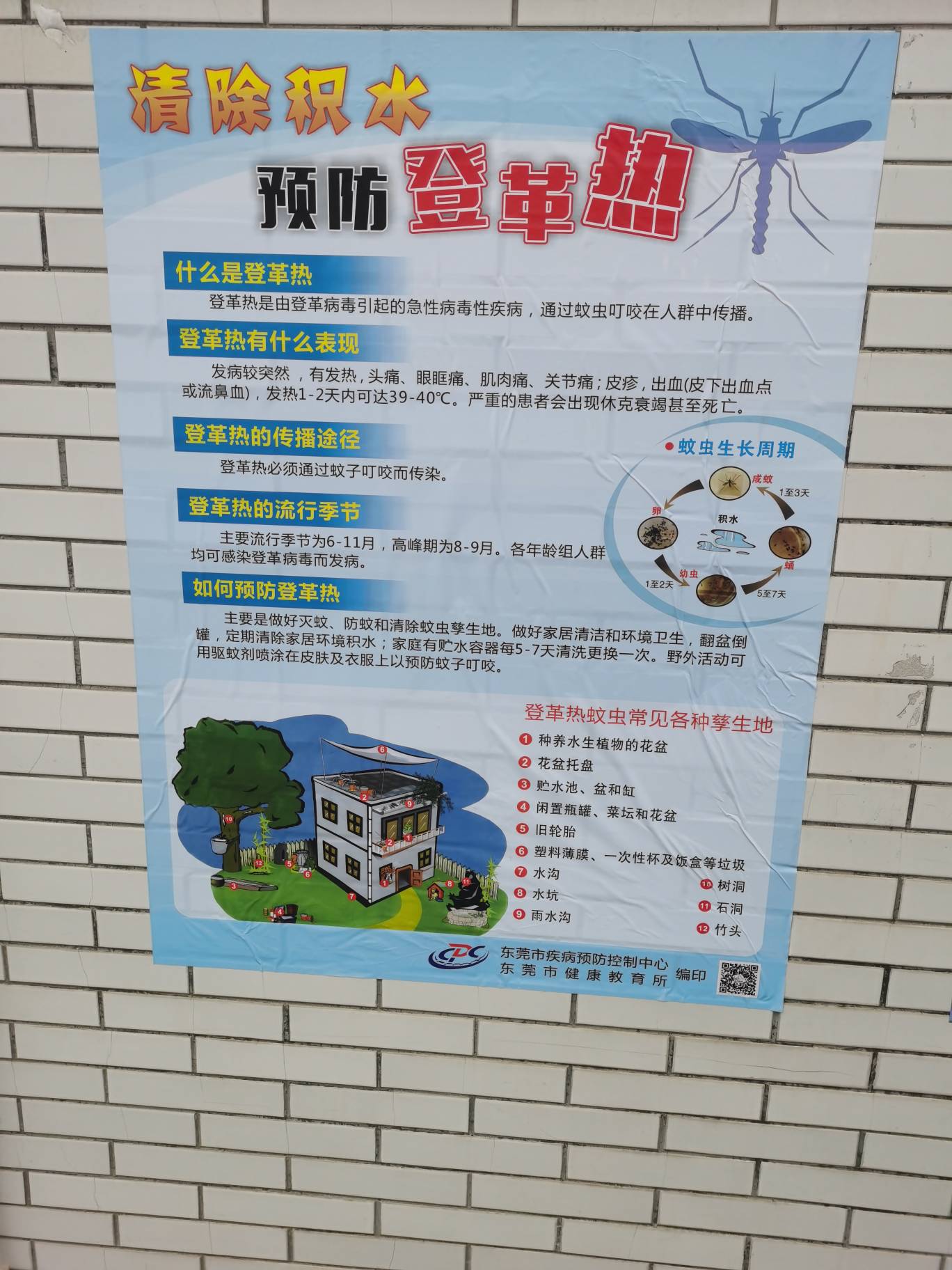老哥们今天被花蚊子咬了正好看到贴的登革热不会真有毒吧

11 / 作者:梦想当村长 / 