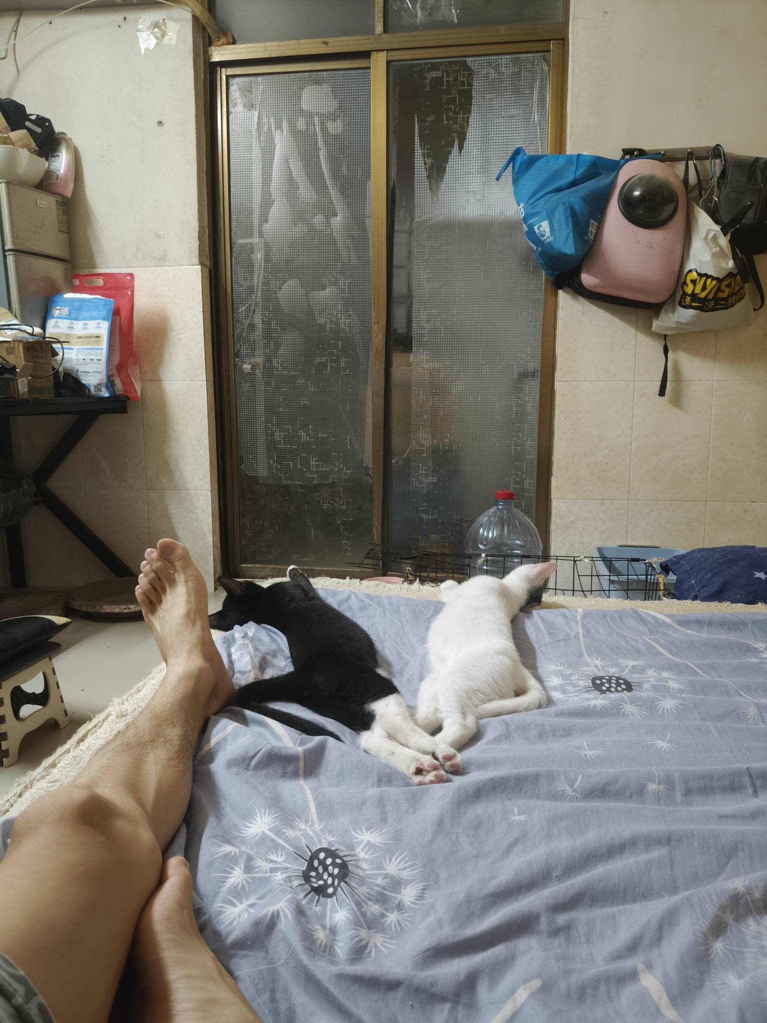 怎么做到睡觉这么对称的

40 / 作者:温暖5188 / 