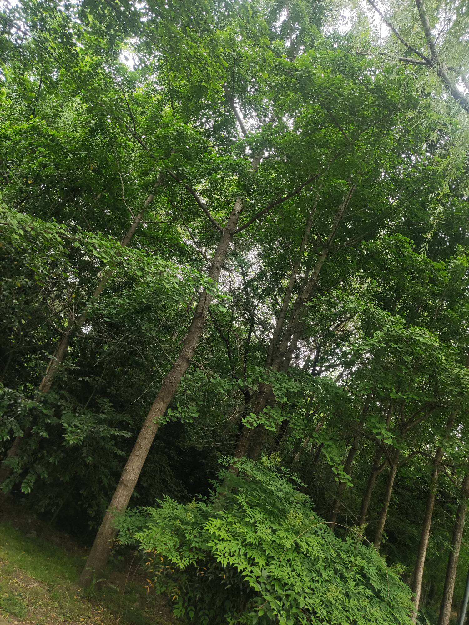 今天咋又变成广子社区了

78 / 作者:我爱赵露思 / 