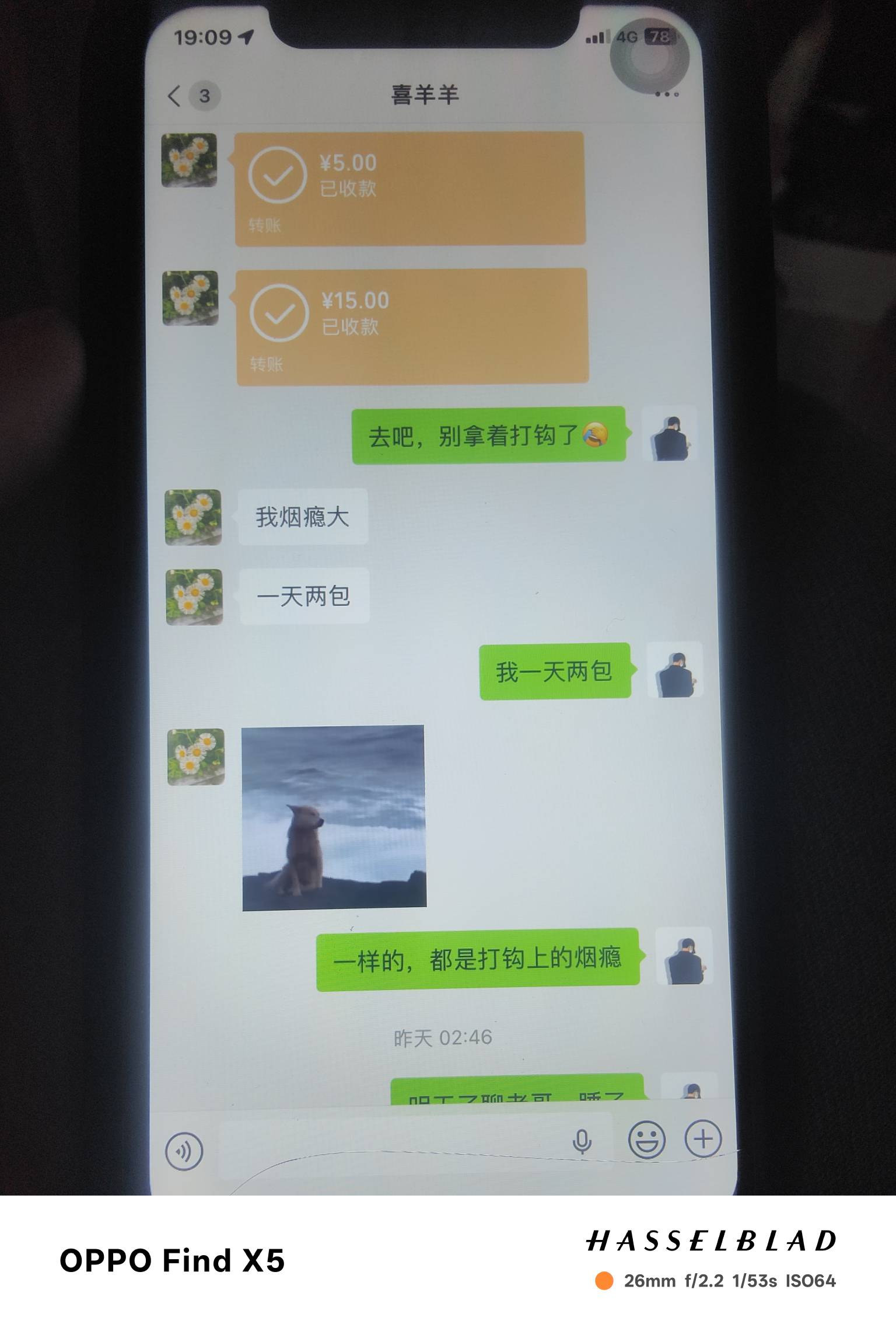 @卡农110 出来干活了，赶紧封了吧！不知道骗了多少老哥了





68 / 作者:北辰雨墨 / 