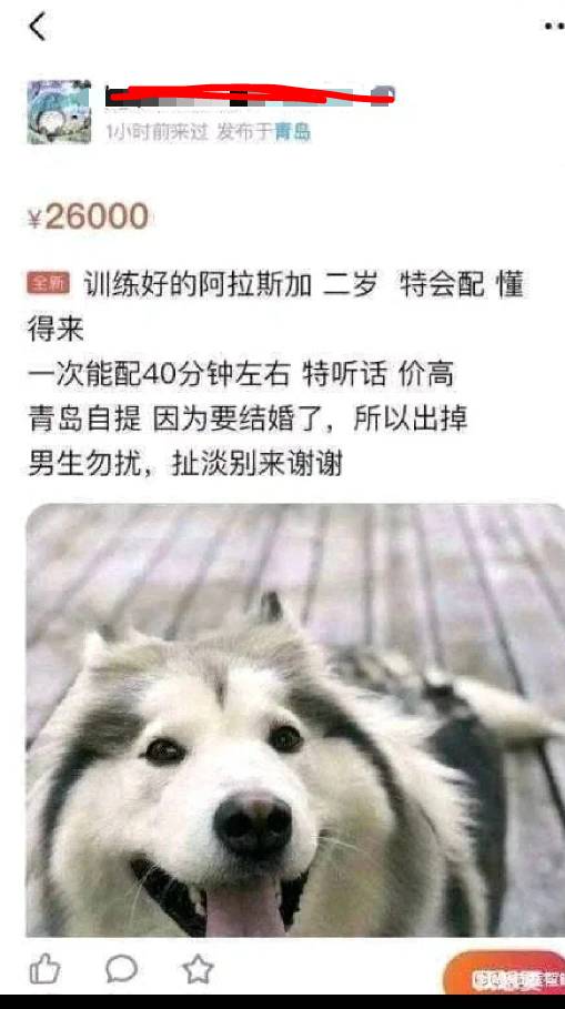 怎么这么多卡妖卡友，是最近有什么大羊毛引流来的吗

38 / 作者:大力水手皮卡丘 / 