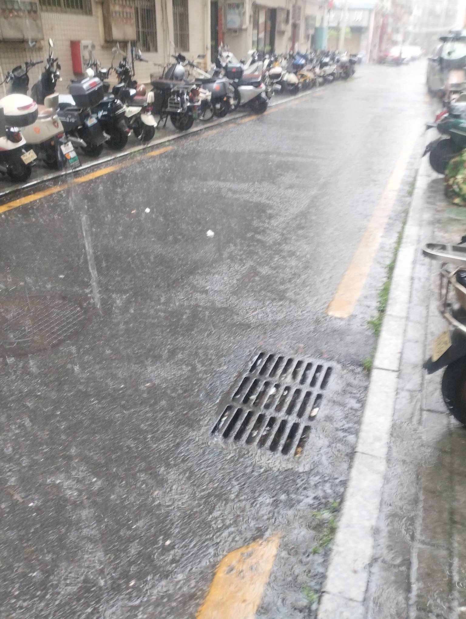 广东有多少老哥冒雨去上班的，屈原都嘎了多少个春秋了，哪来那么大得冤屈

99 / 作者:尛•牛•蛮 / 