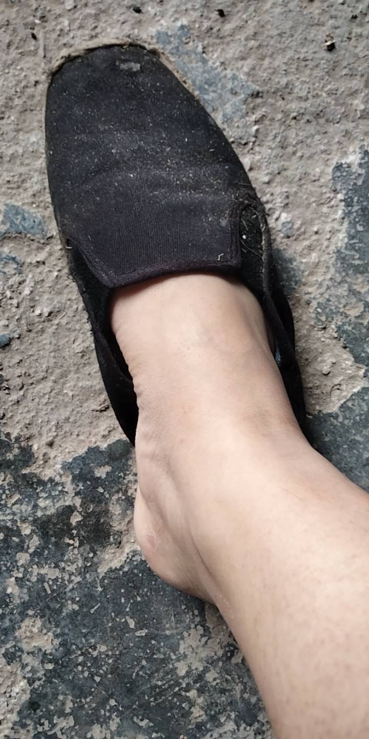 日结走起，又是一天

50 / 作者:宁波躺平老哥 / 