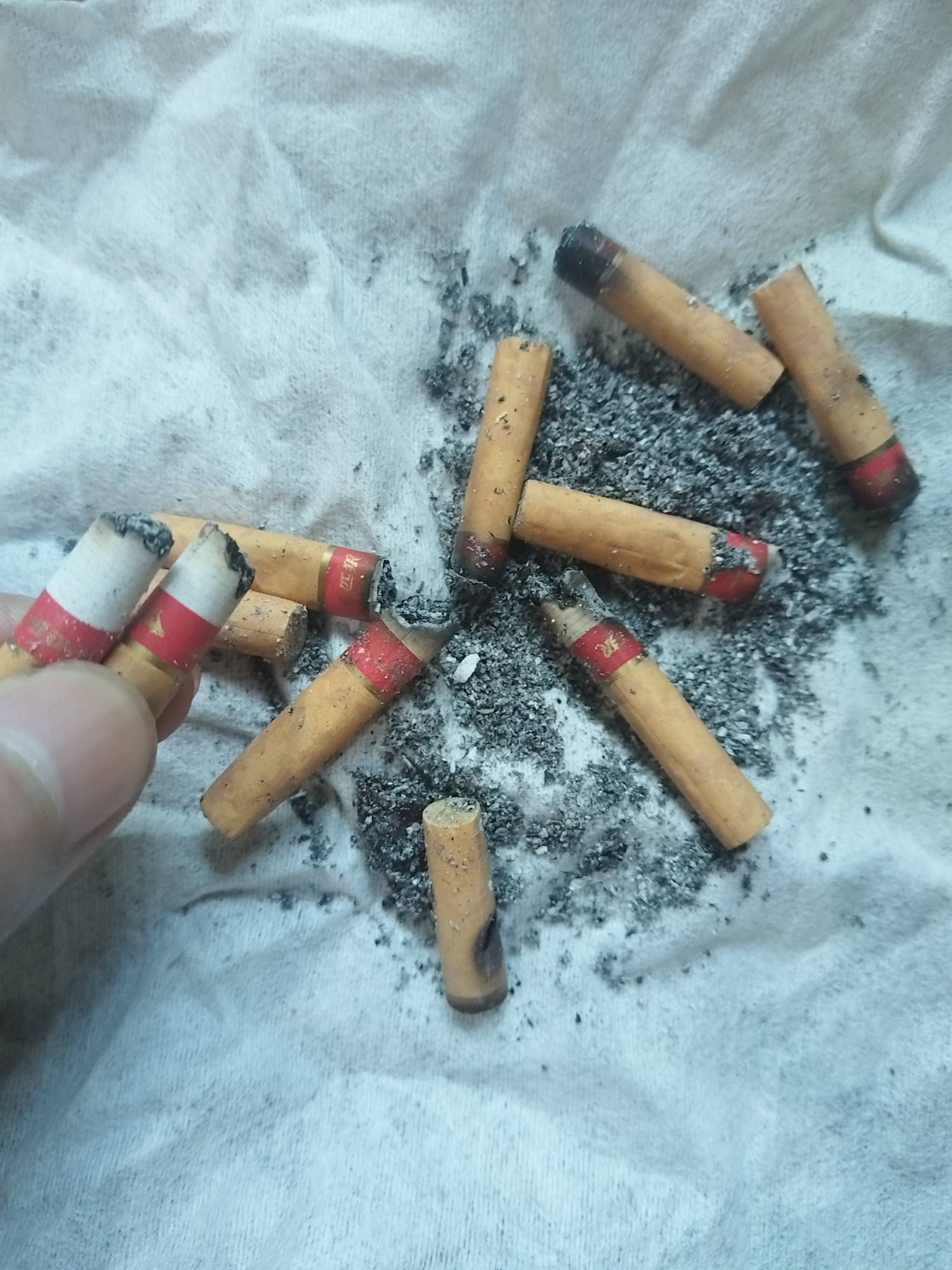 炸出一群饿死鬼 把别人家当冤种，洪了的老哥好好珍惜口袋里的钱不要大手大脚 你没有的82 / 作者:虚幻的世界 / 