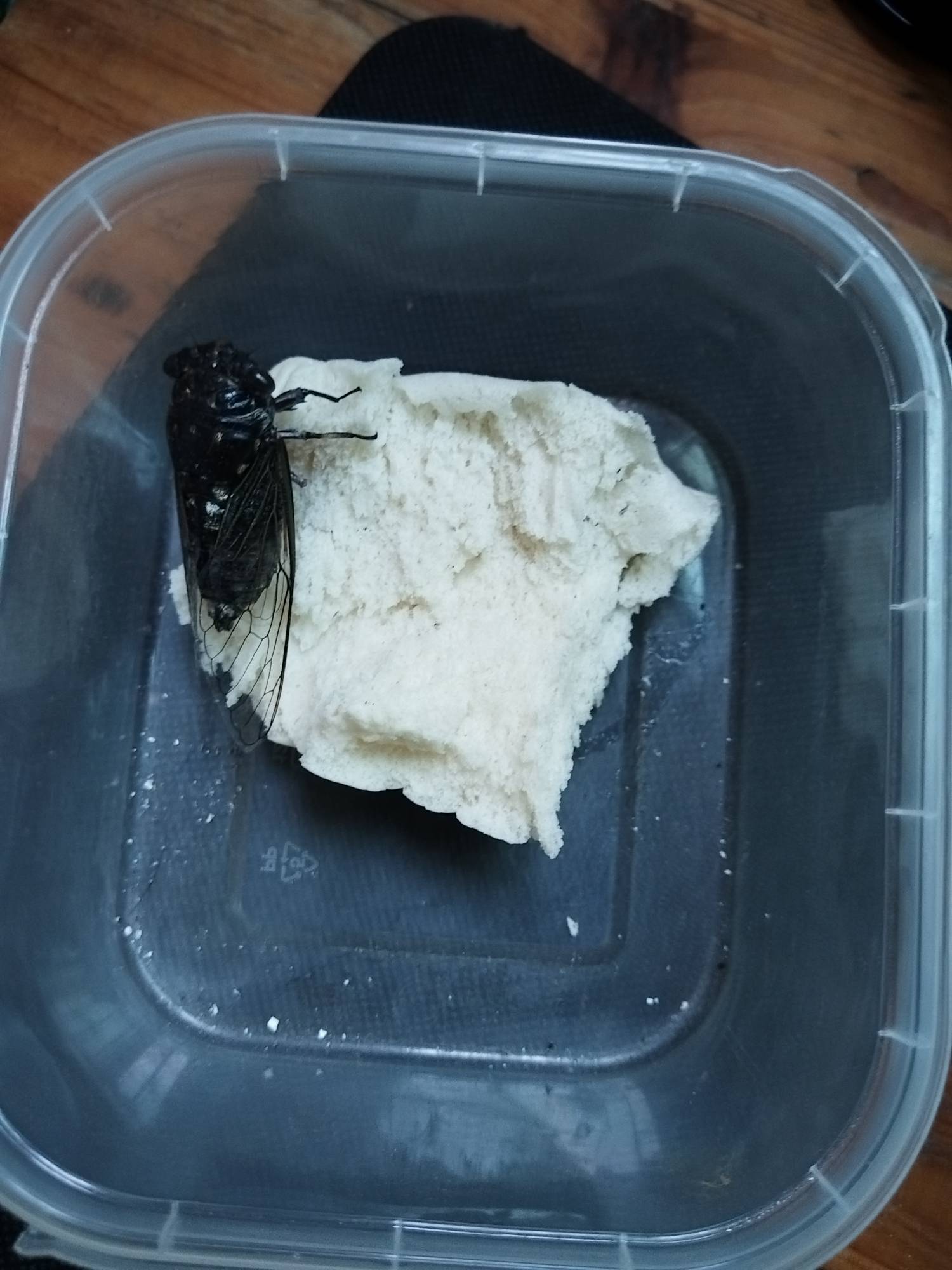 老哥一直挂壁也不是个事啊，哪个地方有工资七八千一个月的活

38 / 作者:虚幻的世界 / 