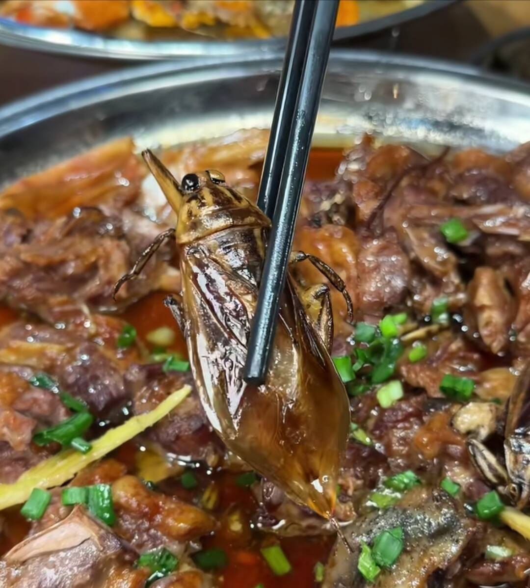 老哥们老姐们吃过吗？

23 / 作者:朱铁胆 / 