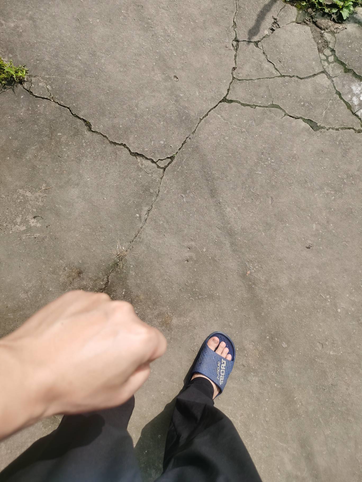 挂比了，连个公园都找不到这破地方。

88 / 作者:没监控不管 / 