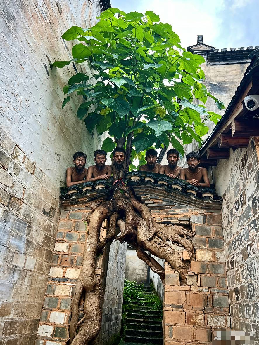 老哥们，今天生日，同程还没买，买了还有电影票和200吗

72 / 作者:要辩难辩 / 