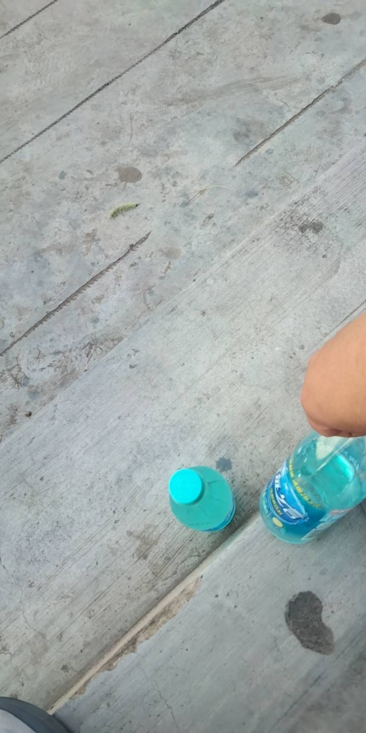 太热了，工作不好找啊，今天走了五公里十几个厂子都不...75 / 作者:宁波躺平老哥 / 