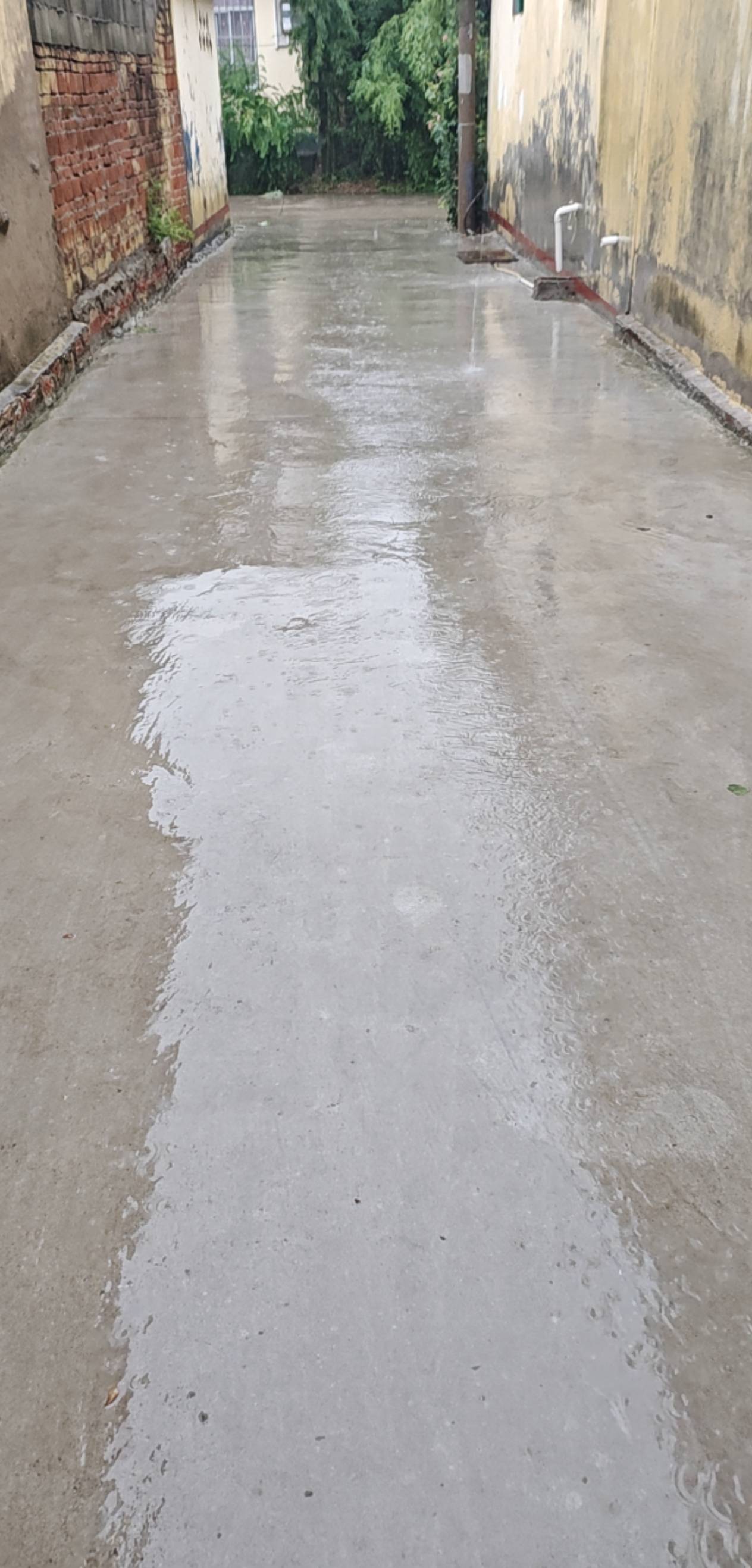 终于下雨咯
51 / 作者:西门吹雪！ / 