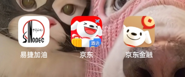 关于京东白条强开教程，我第一次是的充值500开通不了。

 1.首先应用商店下载易捷加油9 / 作者:妞别跑了 / 