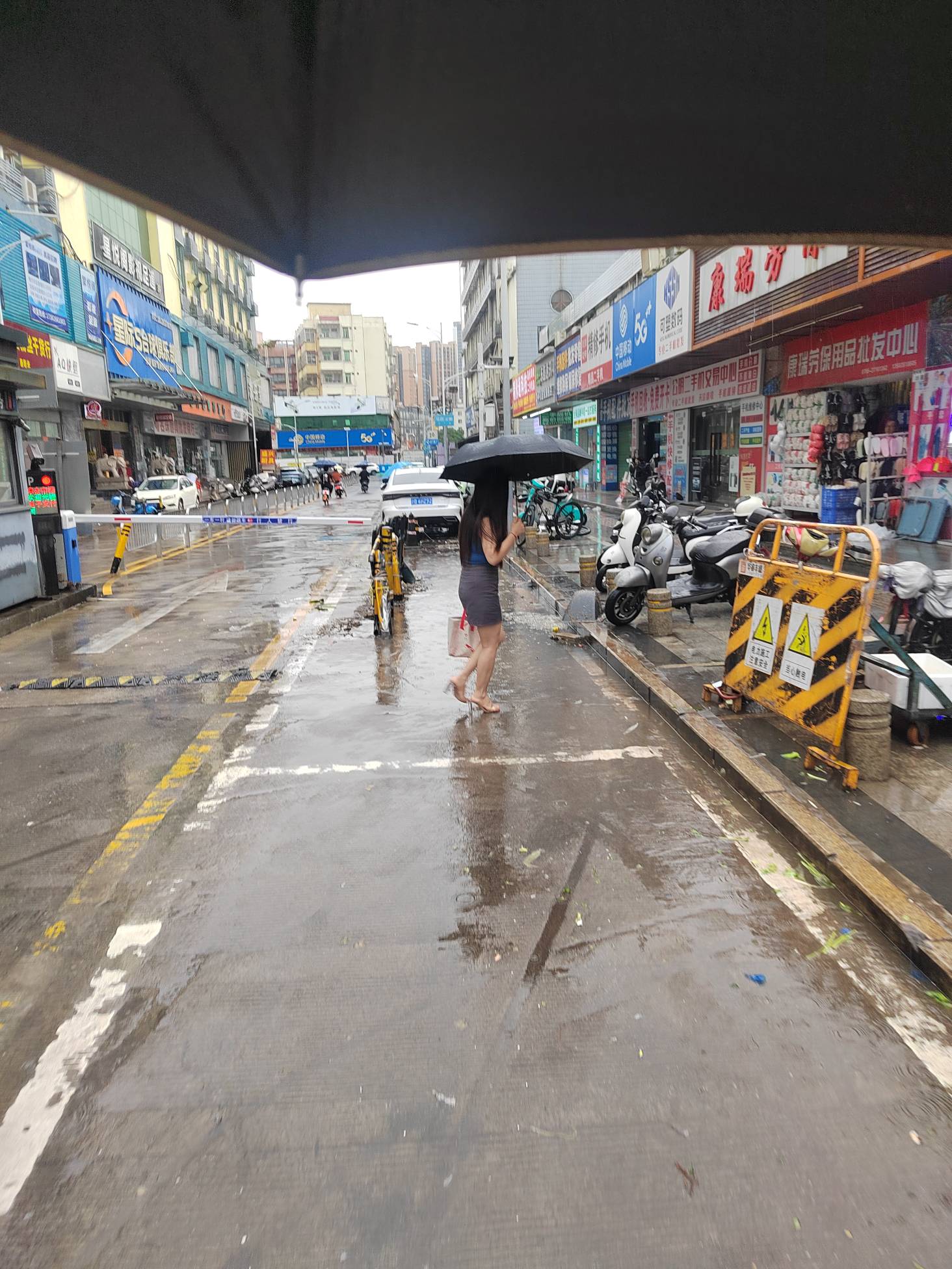 一根毛都没，咋办阿老哥们，躺下了

65 / 作者:今年要发财 / 