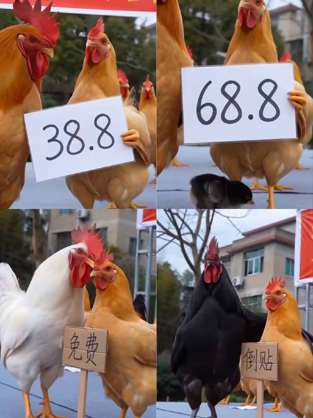今天不但没破零还花了70

87 / 作者:塔尼亚75 / 