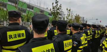 彻底绝望，鸡拔毛没有，又不想进厂打螺丝，瘫痪在挂壁房饿晕了，哪里有一天8小时双休54 / 作者:鲸鲨 / 