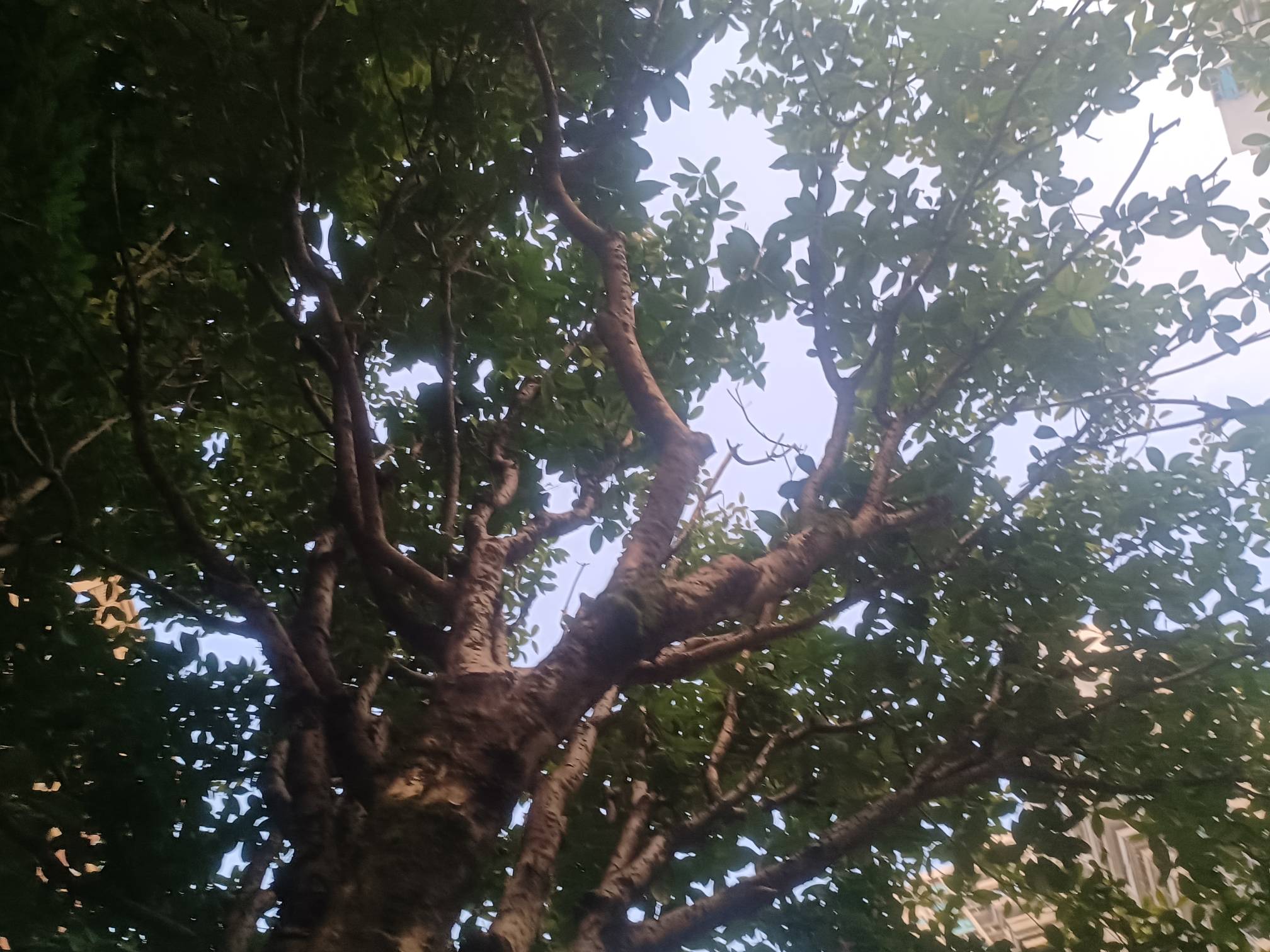 起床了     重庆这天工作难找 ，  哎

14 / 作者:v18883340973 / 