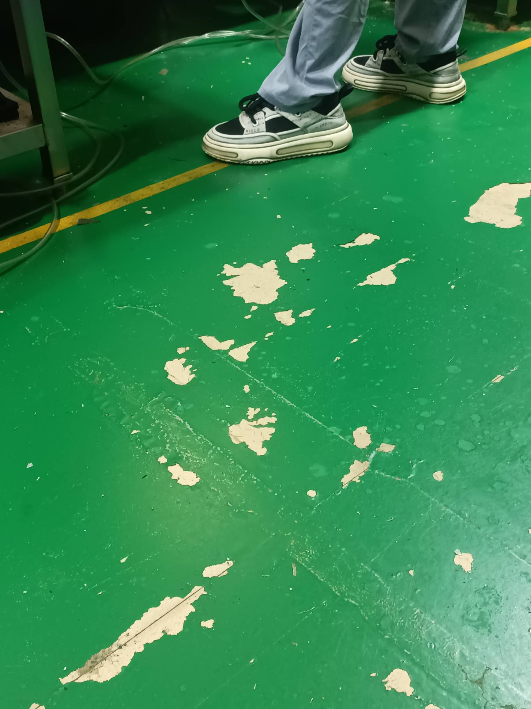 上班了，虽然上班也挂b没钱用，但是每天回来看见宿舍躺的人，天天回来看见他们感觉他31 / 作者:赋能 / 