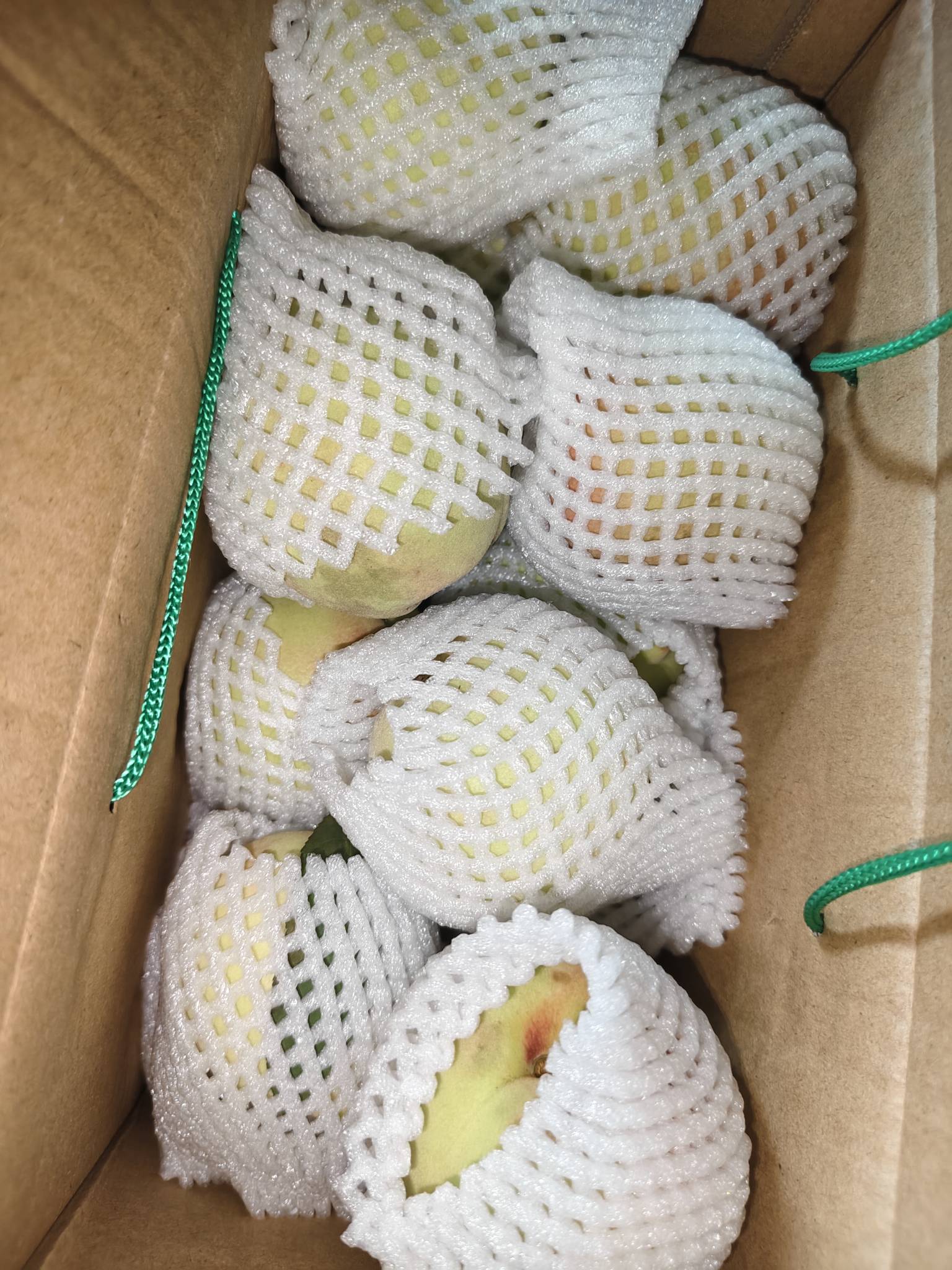 东莞桃子到了挺多有的吃了

61 / 作者:功德圆满 / 