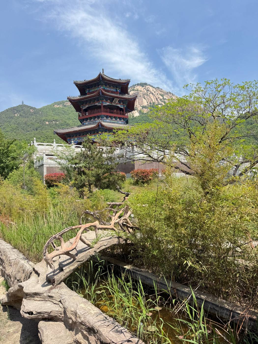 在挂壁房躺着好好的，就因为昨天做了个抖音快手实名被带走了，幸亏没啥大事又回来了

95 / 作者:刘浩存～ / 