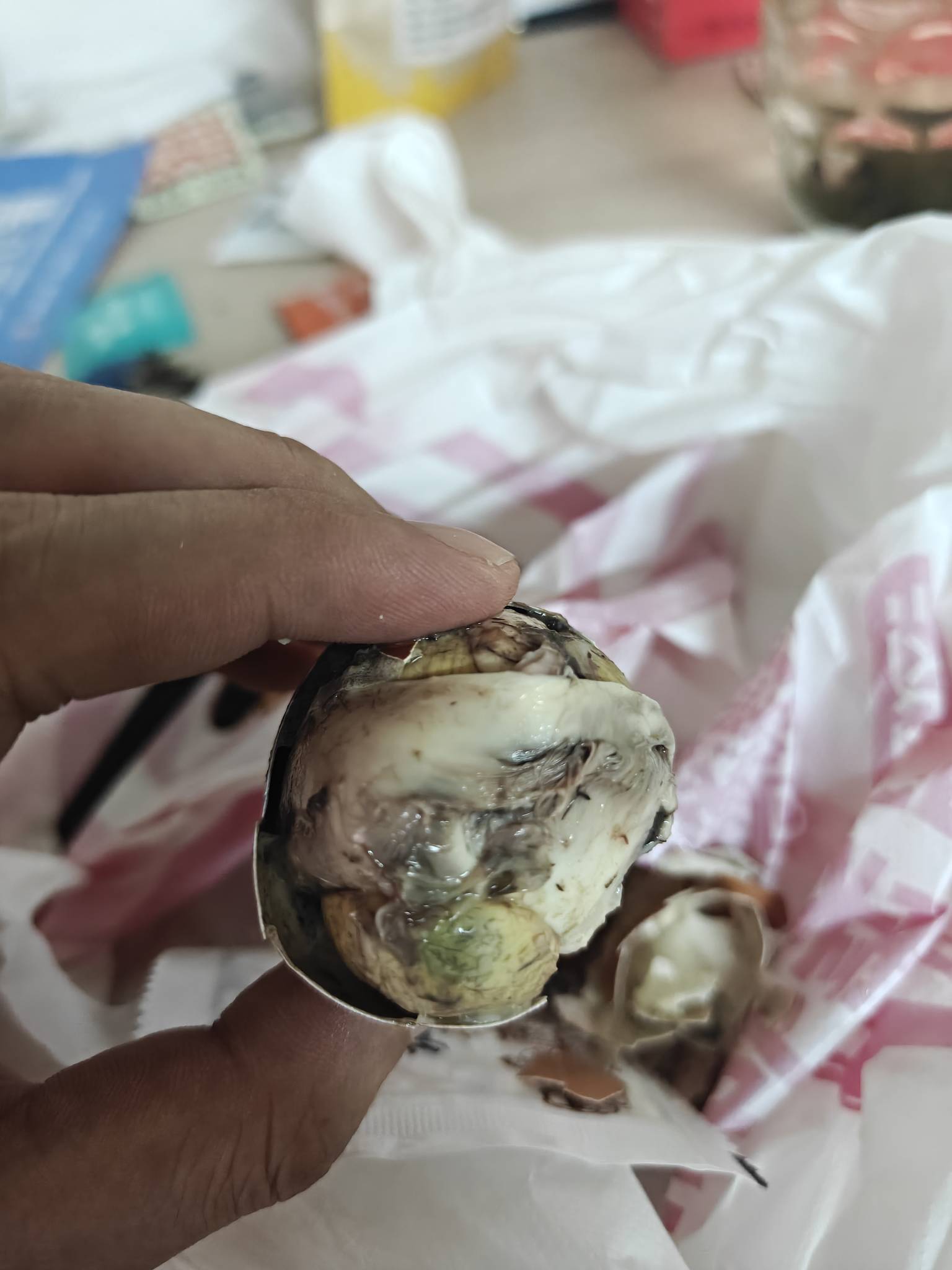人都麻了 这活珠子是人吃的吗 下不去嘴





30 / 作者:拾荒的老头丶 / 