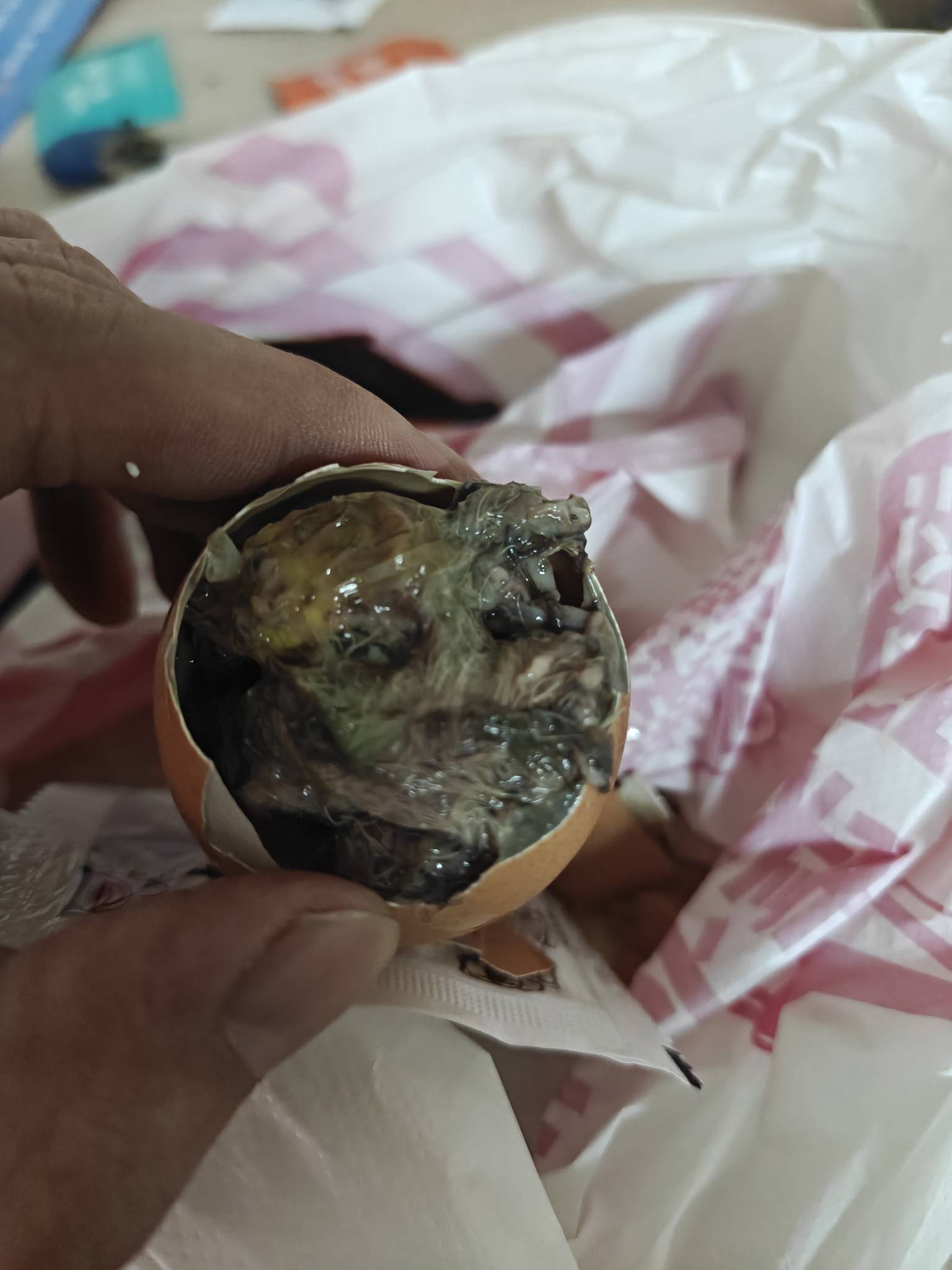 人都麻了 这活珠子是人吃的吗 下不去嘴





75 / 作者:拾荒的老头丶 / 