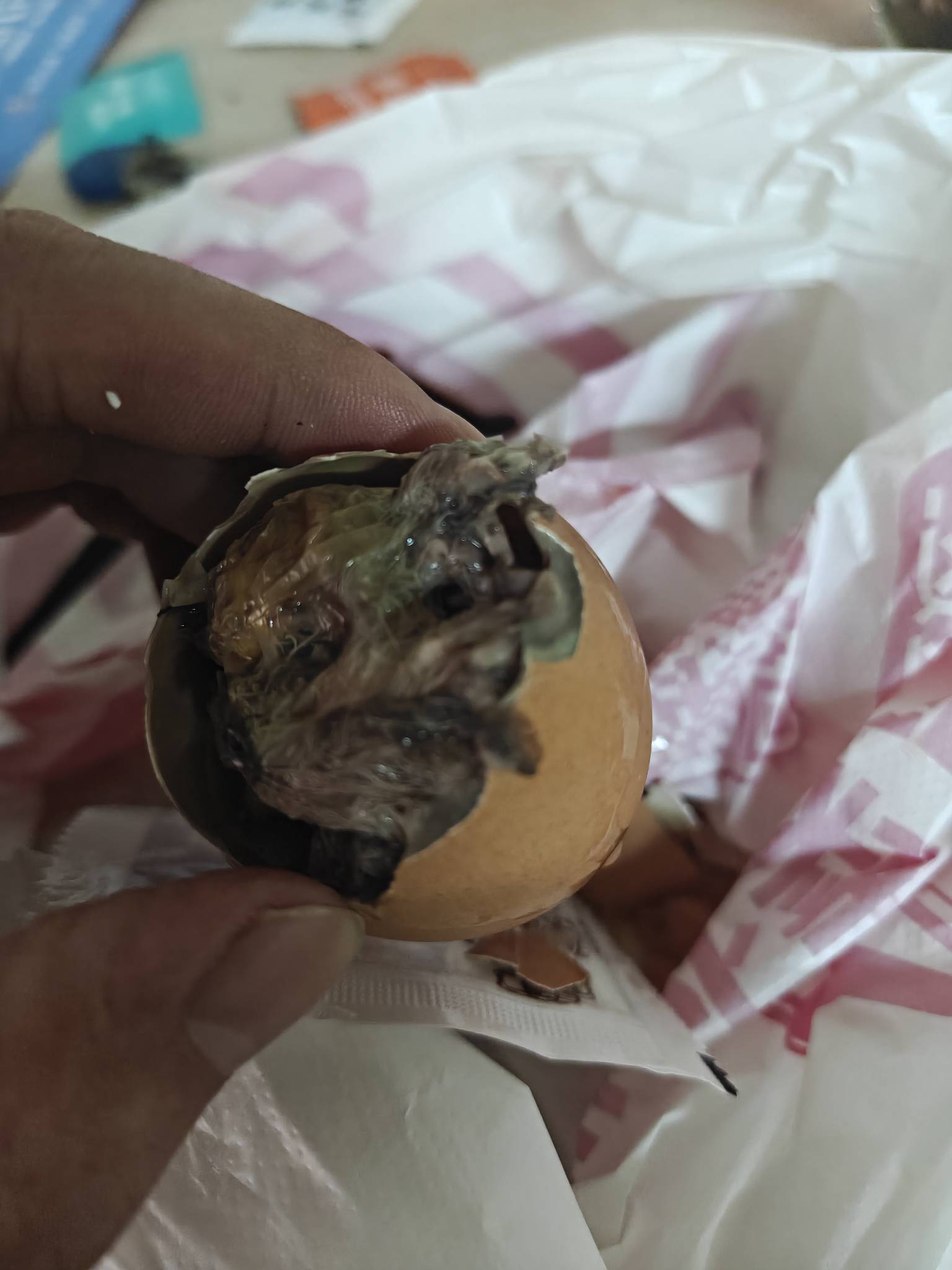 人都麻了 这活珠子是人吃的吗 下不去嘴





27 / 作者:拾荒的老头丶 / 