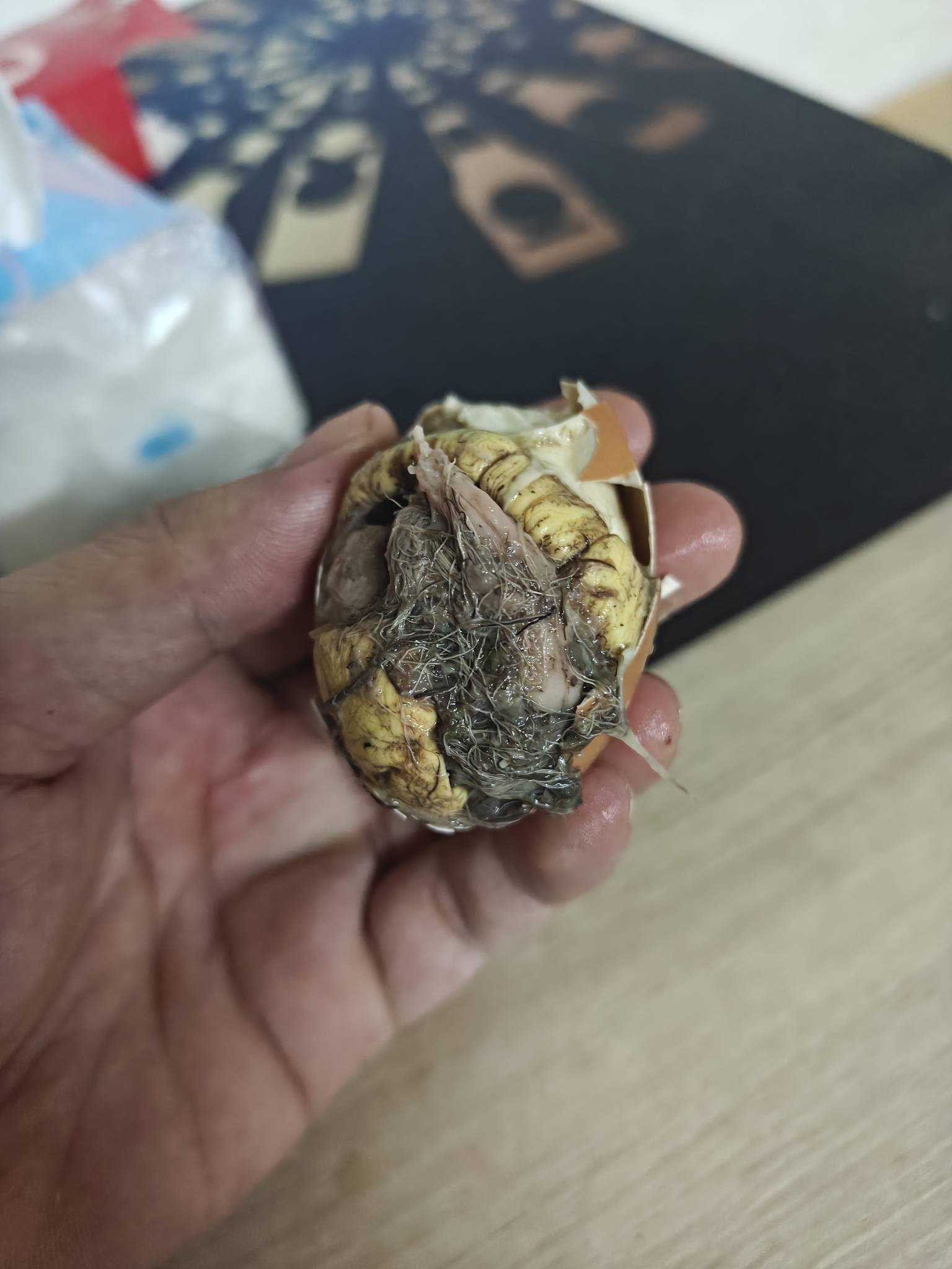 人都麻了 这活珠子是人吃的吗 下不去嘴





43 / 作者:拾荒的老头丶 / 