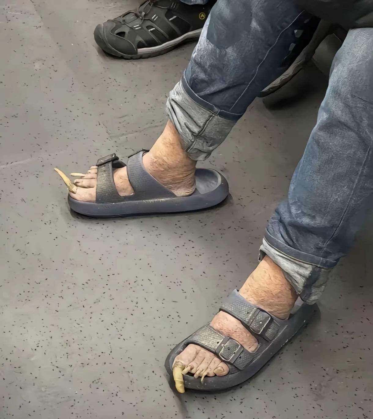 老哥们有毛吗，饿晕了

65 / 作者:几把毛都没有绝望了 / 