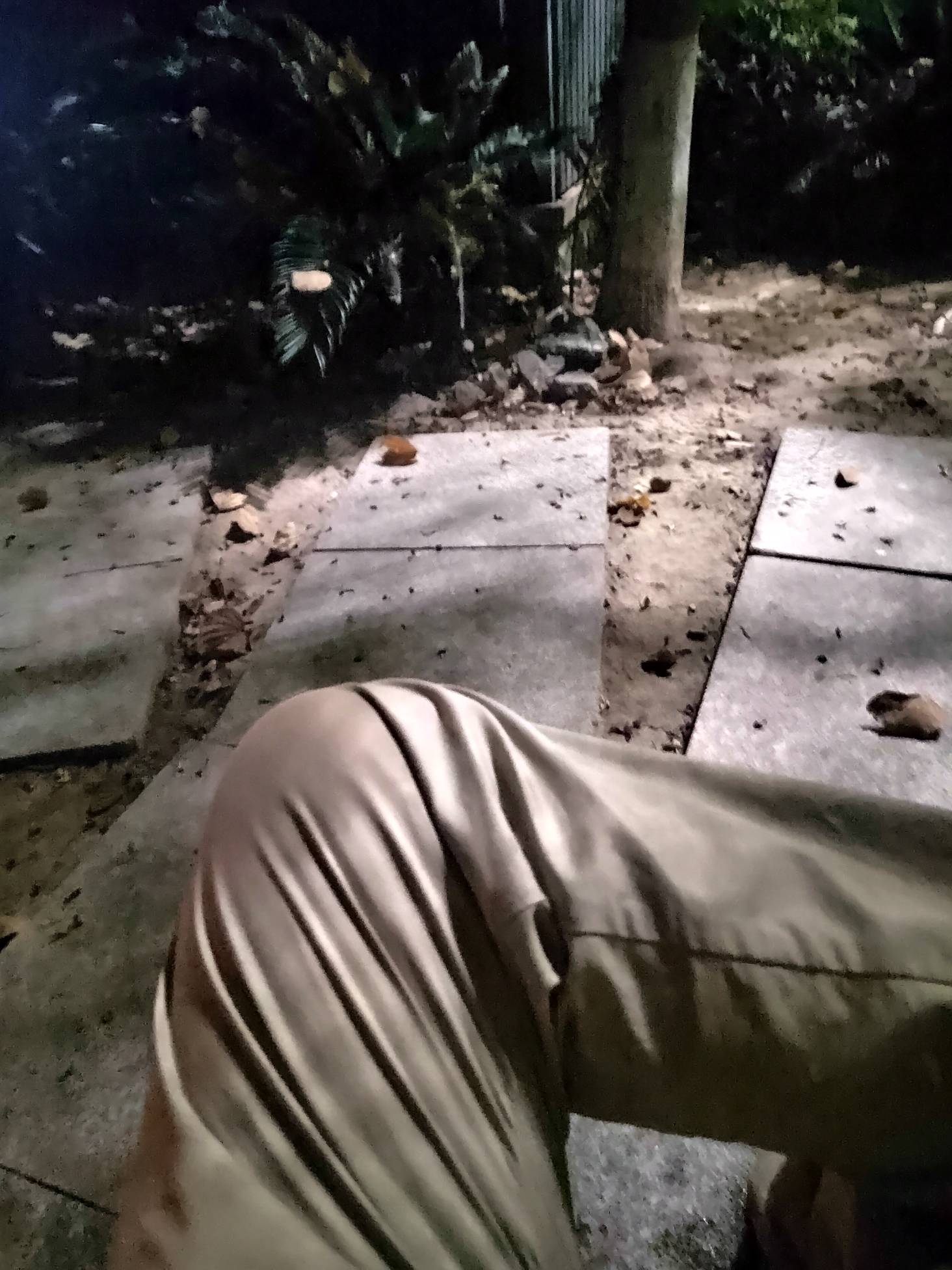 也没人告诉我公园这么多蚊子啊，36度还热的要死，有没有红哥红姐团个挂壁房啊

20 / 作者:可8885 / 
