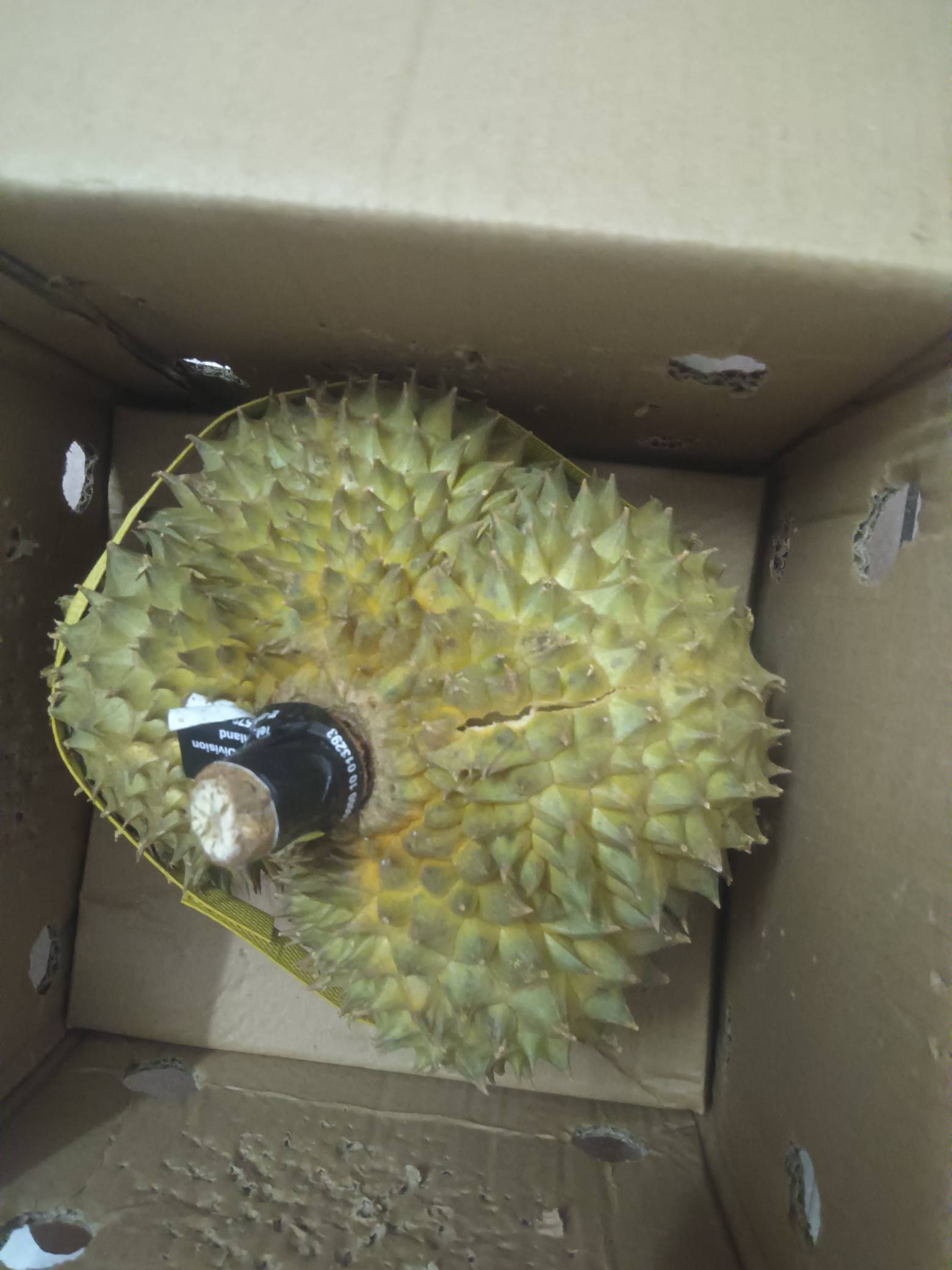 老哥们帮我看下这个榴莲熟了没有，客服说过三天再开，都有裂口了


50 / 作者:三打白骨精313 / 