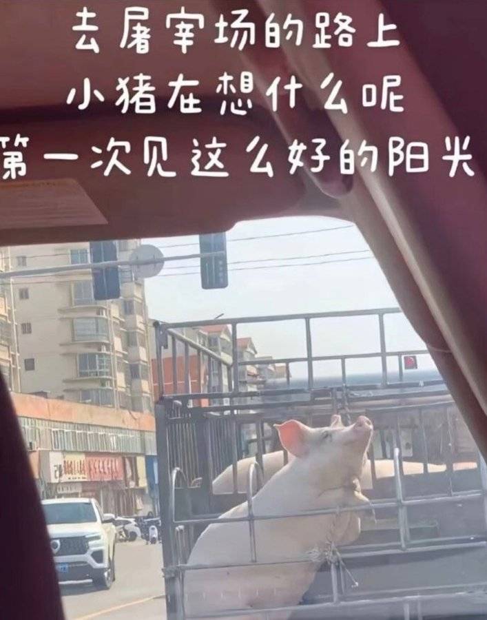 最近都找不到活干了，15块一小时的都秒没，什么时候日结变成羊毛一样要靠抢，几分钟秒30 / 作者:天下为公-马列毛 / 