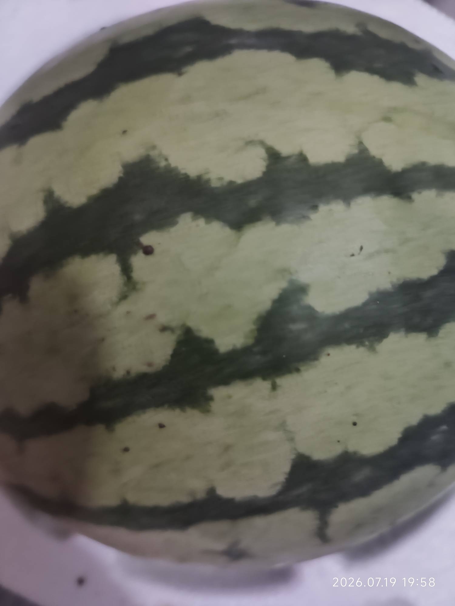 京东一分钱买的西瓜到了



32 / 作者:憨小憨 / 