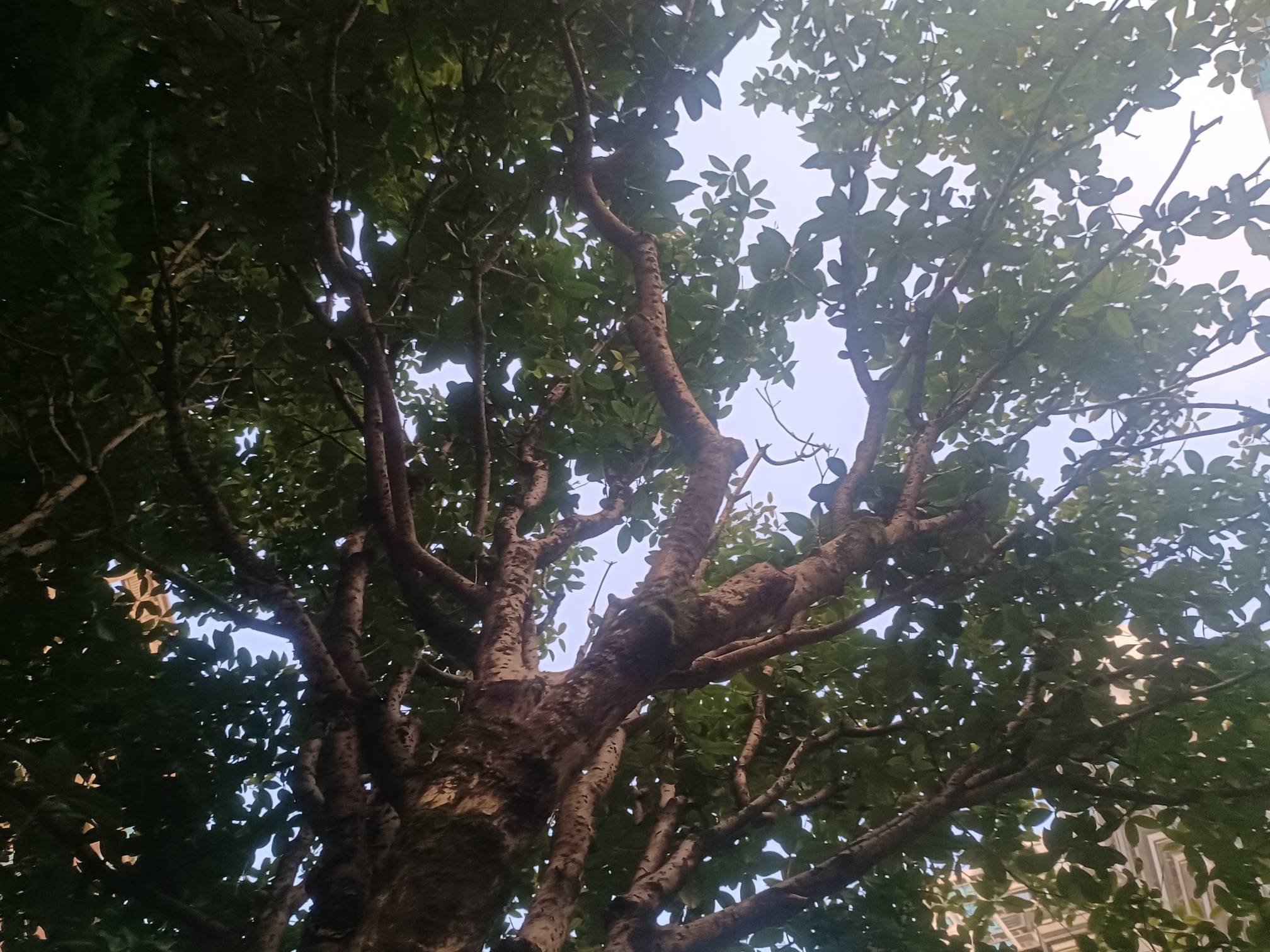 重庆的老哥些在哪里发财   有日结啥的求带带

28 / 作者:v18883340973 / 