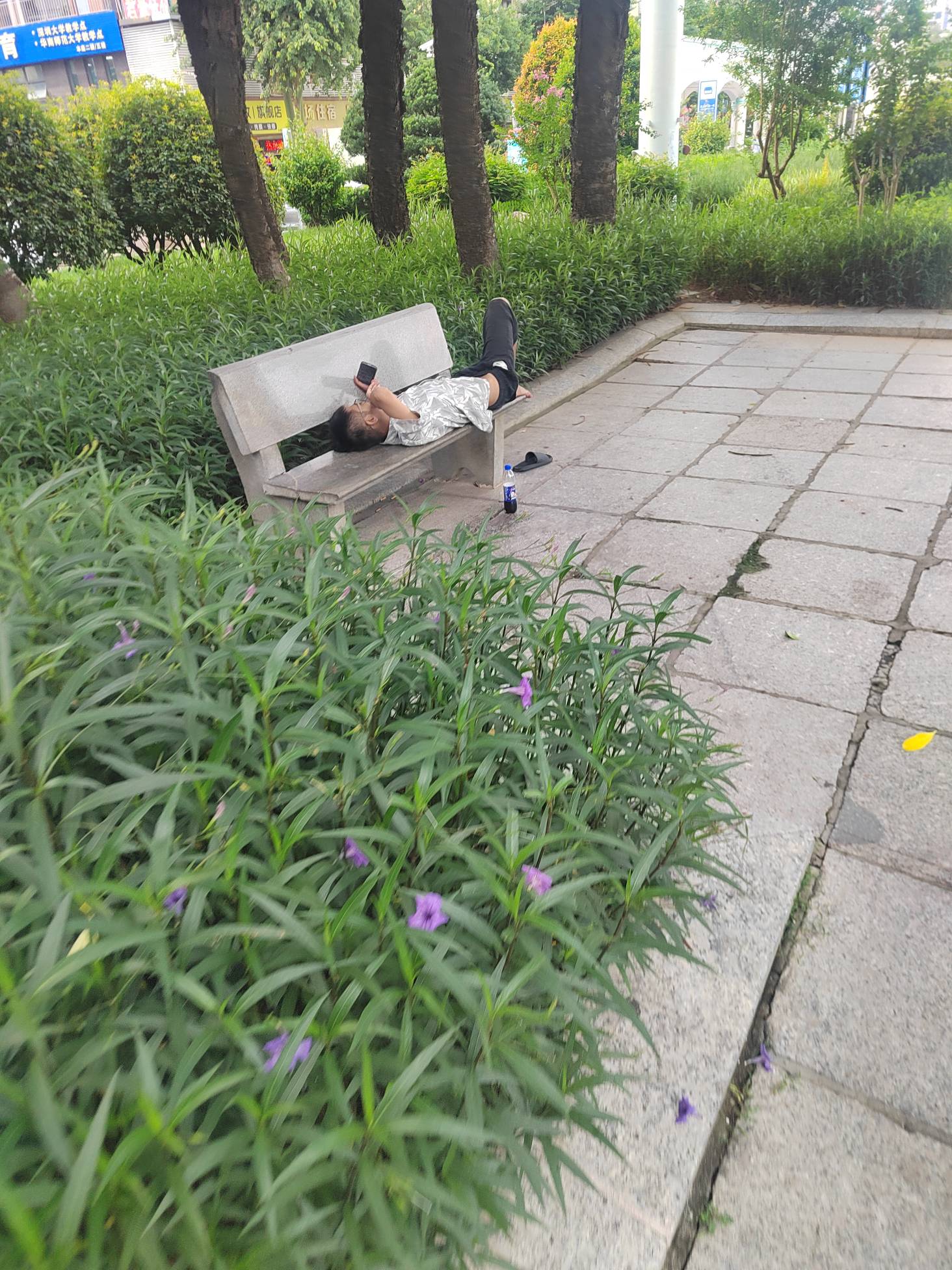 这是哪个老哥，直接睡在公园了

81 / 作者:今年要发财 / 