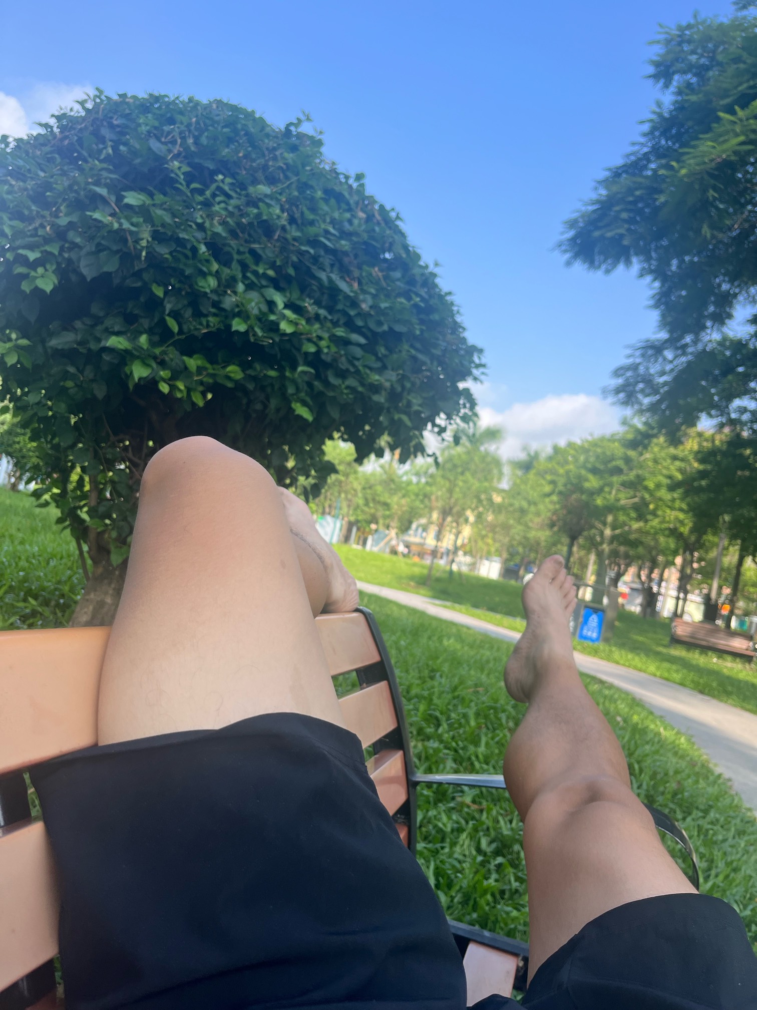 老哥，救我，挂公园了

76 / 作者:我爱看动画片 / 