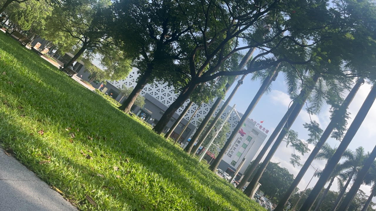 老哥，救我，挂公园了

0 / 作者:我爱看动画片 / 