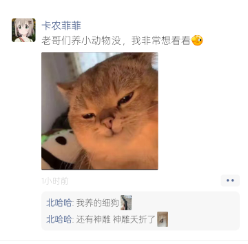 @卡农菲菲  你要看老哥养小动物的照片已提供，我养了一个细狗一个射雕 可惜神雕夭折了78 / 作者:一条小麻蛇啊 / 