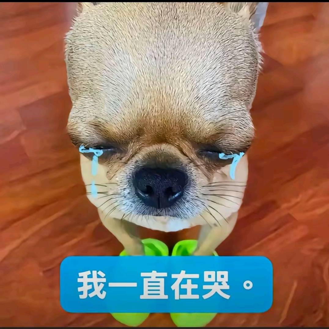 最后2块钱买了三个脉动第一个中一块剩下两个都是废的真烦cs啊这些码商

23 / 作者:染靛街开心 / 