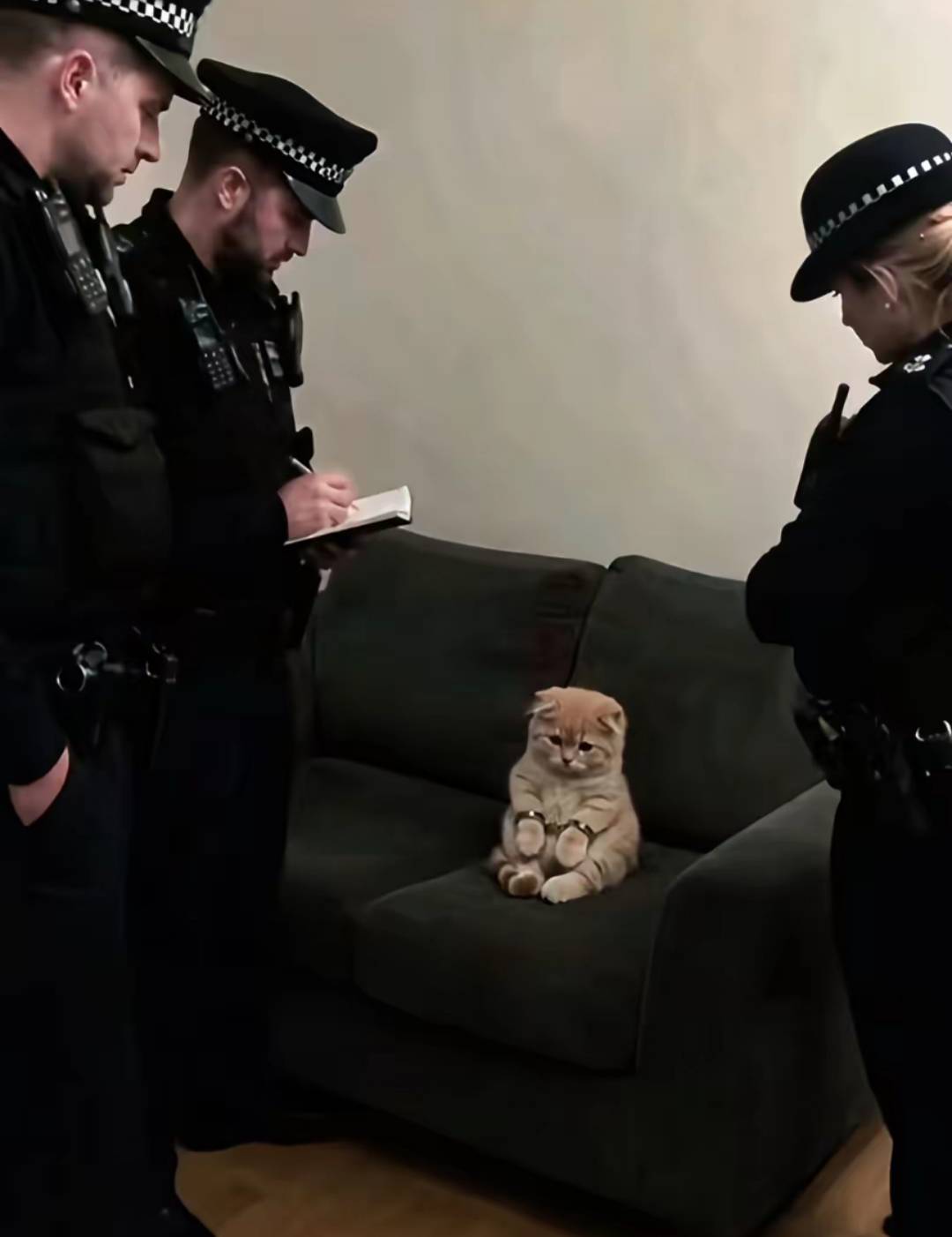 老哥们求教个问题，就是邦邦赚弹窗有东子广告但是点红包的时候就几百金币进去看广告的85 / 作者:幻想改变现在 / 