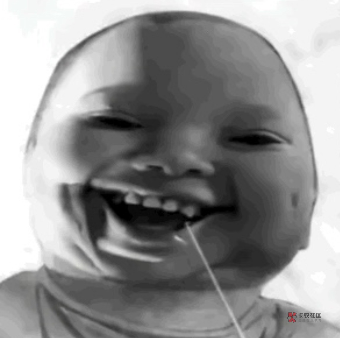 老哥们嘴巴一个比一个硬，退的一个比一个快，出来混没一个讲义气的

83 / 作者:假老哥真挂壁 / 