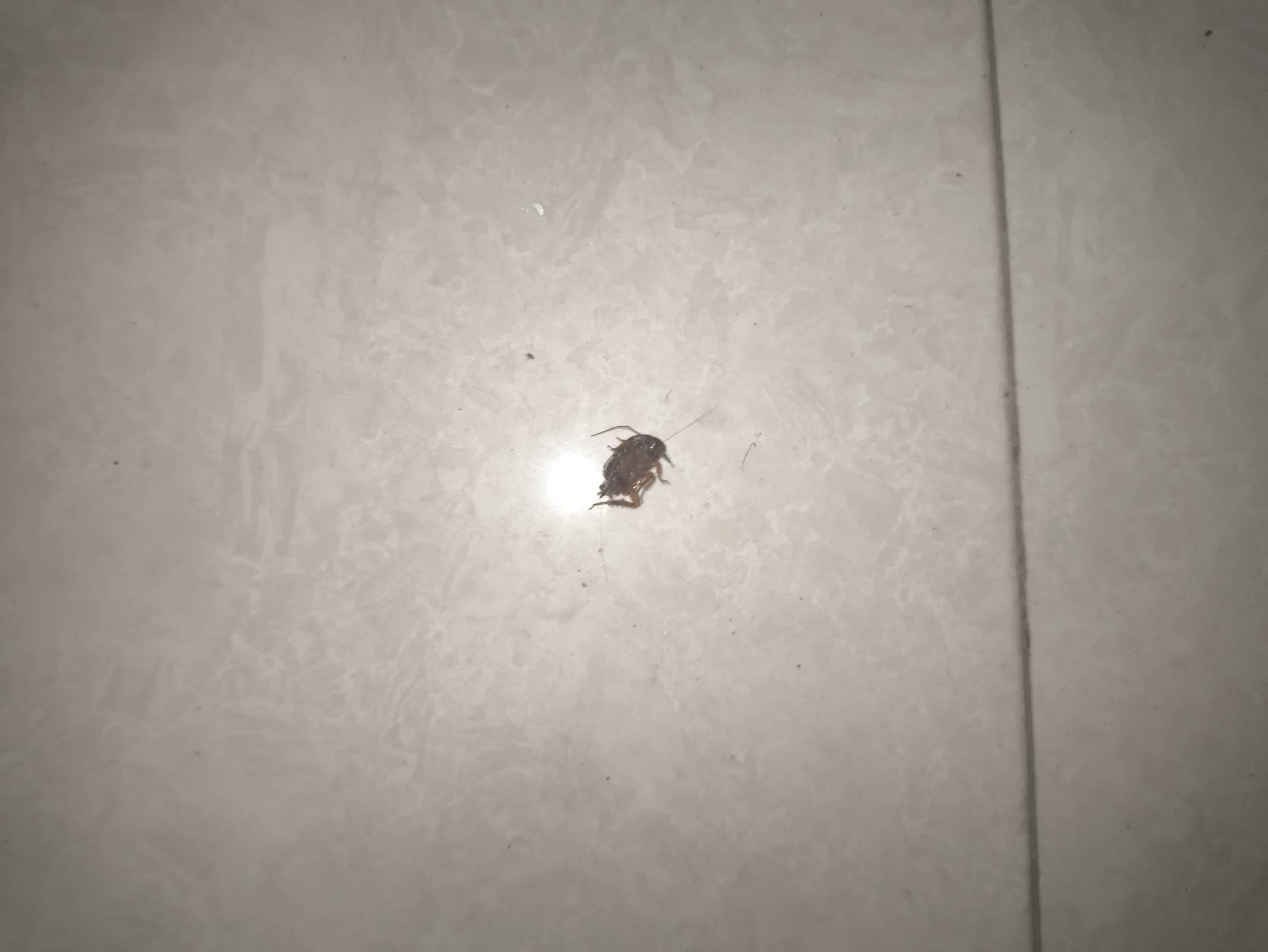 这怕是有点大哦

53 / 作者:附近司机 / 
