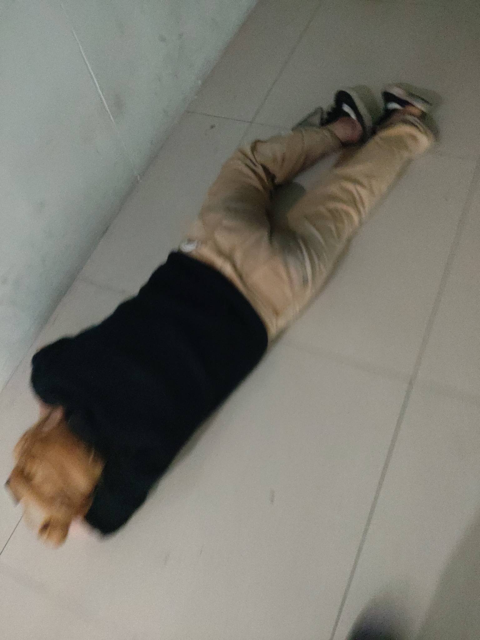 这是哪位老哥？

59 / 作者:扎巴头 / 
